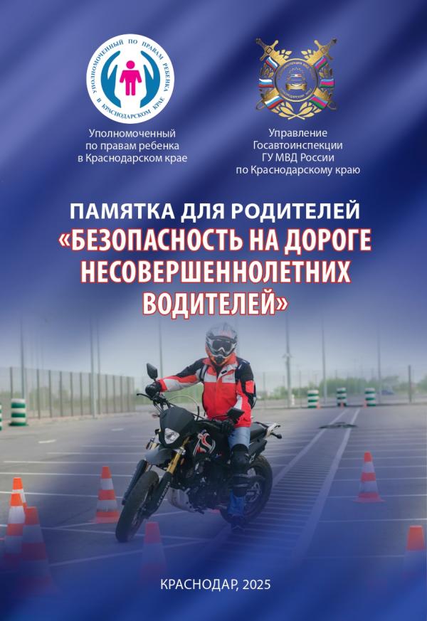 безопасность на догоге